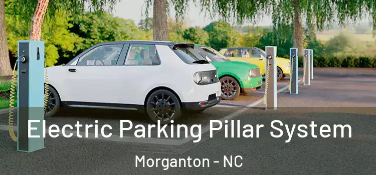  Electric Parking Pillar System Morganton - NC