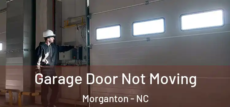  Garage Door Not Moving Morganton - NC