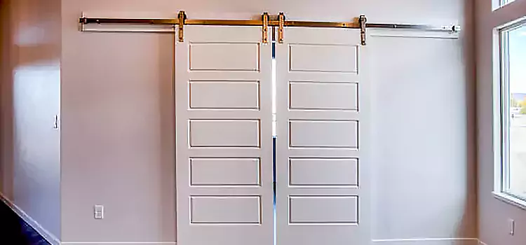 Glass Barn Door with Installation Hardware Kit Morganton