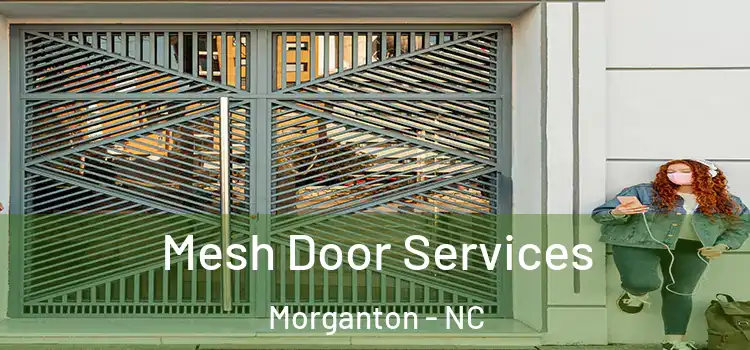 Mesh Door Services Morganton - NC